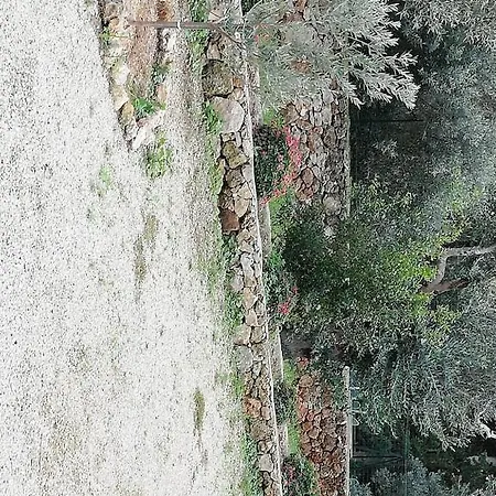 Grazia Baia A 200mt Dalla E A Pochi Passi Dai Locali Notturni Gallipoli